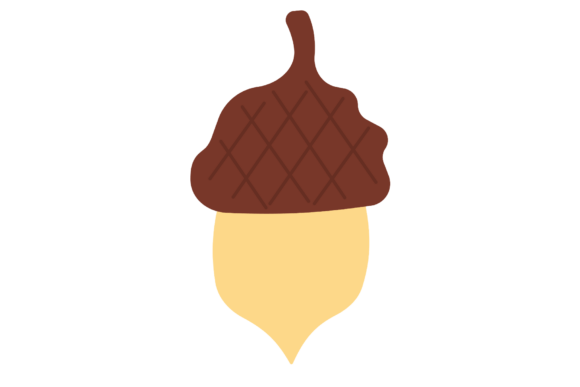 Download Simple Acorn Illustration - Illustration Collection